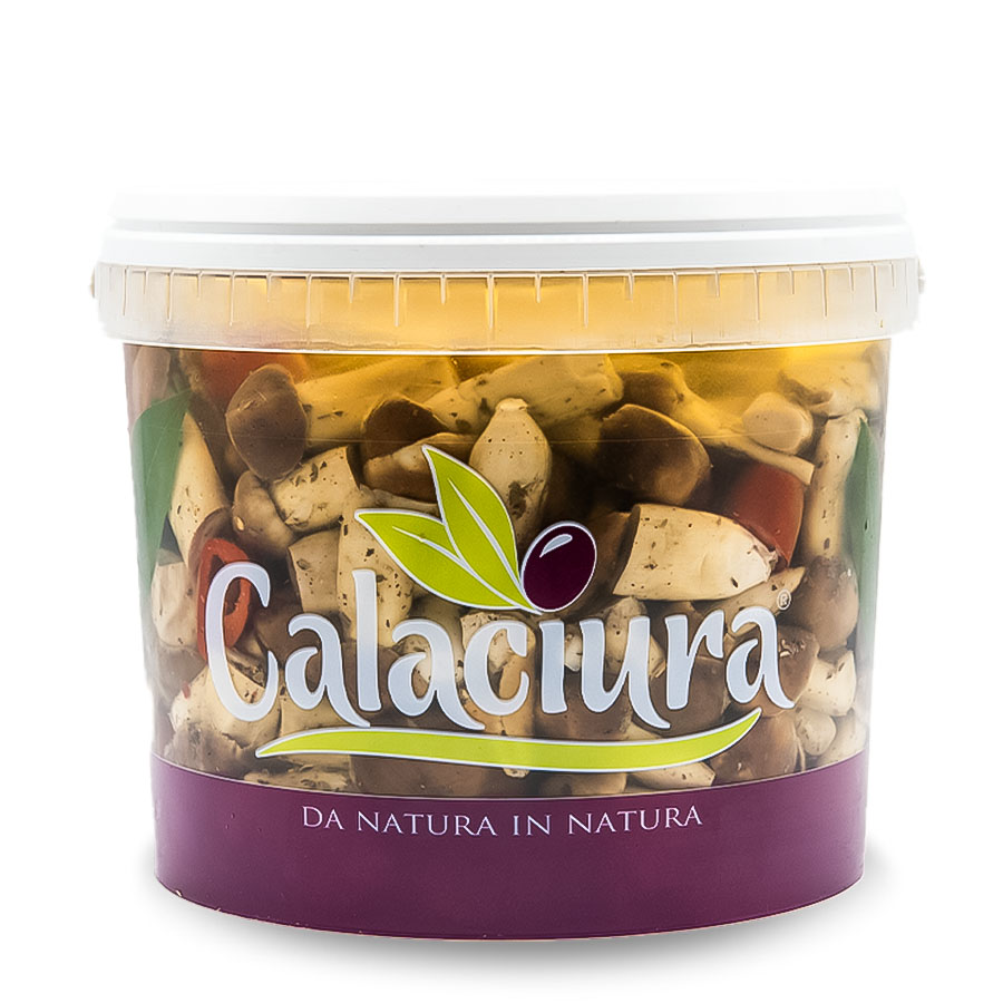 funghi stropharia_secc 5kg